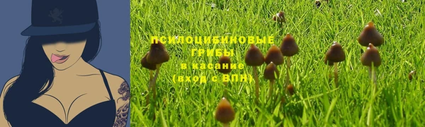 apvp Беломорск