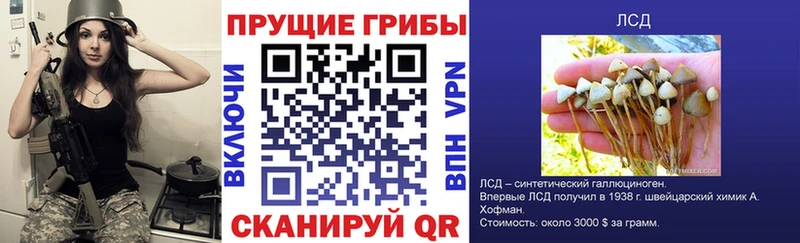 гидра как войти  Гудермес  Псилоцибиновые грибы мицелий 